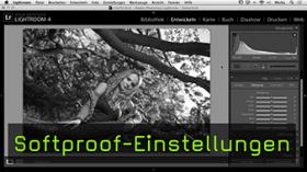 Softproof-Einstellungen