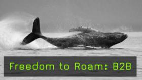 Florian Schulz Freedom to Roam: B2B
