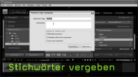 Stichwörter Metadaten Lightroom