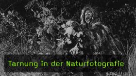 Tarnung in der Naturfotografie