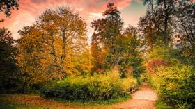 Herbststimmungen fotografieren