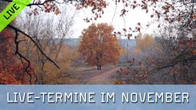 Das Liveprogramm für den November