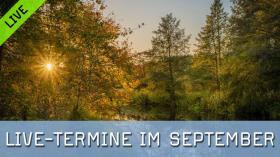 FotoTV.-Live-Sessions im September 2026
