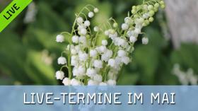 FotoTV.-Livetermine im Mai 2026