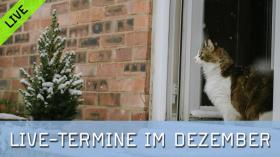 Livetermine im Dezember 2025 bei FotoTV.