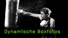 Boxer fotografieren, Boxfotos machen