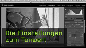 Tonwerte in Lightroom ändern