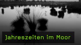 Willi Rolfes Moor fotografieren