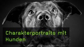 Heike Herden Hundefotografie