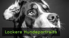 Video mit Heike Herden Hundefotografin