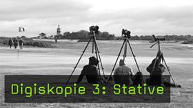 Video Hunde In Bewegung Fotografieren Hunde Im Lauf Fotografieren