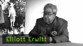 Elliott Erwitt