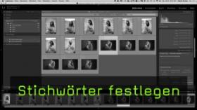 Stichwörter festlegen