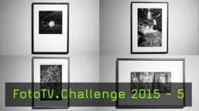 Die Fineart Print- und Rahmungs-Challenge