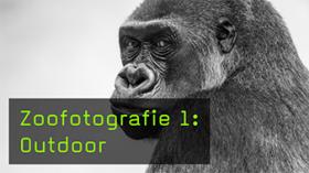 Zoofotografie 1: Outdoor