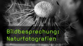 Natur und Landschaften gekonnt fotografieren