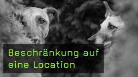 Beschränkung auf eine Location