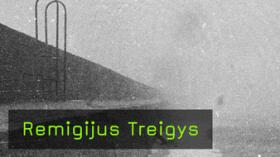 Remigijus Treigys im Interview