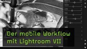 Lightroom Entwicklung auf dem Tablet