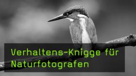 Naturfotograf im Naturschutzgebiet