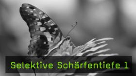 makrofotografie-schaub-naturfotografie