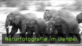 Naturfotografie Winfried Wisniewski