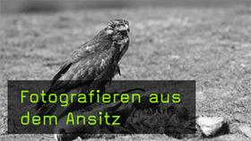 Ansitz-Fotografie