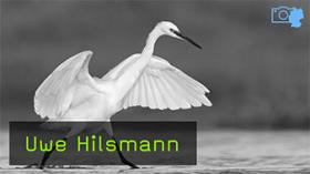 Naturfotograf Uwe Hilsmann im Interview