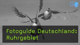 Naturfotografie im Ruhrgebiet