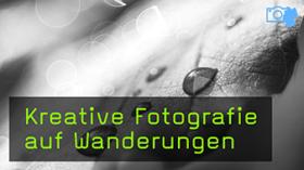 Kreative Naturfotografie im Nationalpark Eifel Kreative Naturfotografie im Nationalpark Eifel