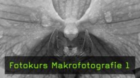 Vorsatz- und Nahlinsen in der Makrofotografie