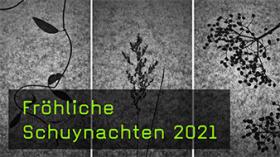 Fotogramme digital erstellen Fotogramme digital erstellen