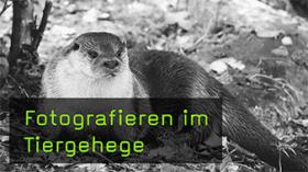 Fotografieren im Tiergehege