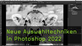 Das Objektauswahlwerkzeug in Photoshop 2022