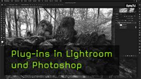 Arbeiten mit Plug-ins und Photoshop