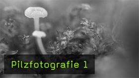 Pilze fotografieren mit Hans-Peter Schaub