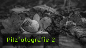 Pilzfotografie mit Naturfotograf Hans-Peter Schaub