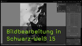 Naturfotos in Schwarz-Weiß