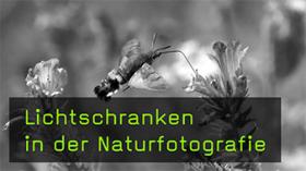 Naturfotos mit Lichtschranken und Lichtfallen machen