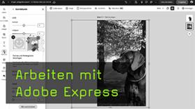 Einfache Bildbearbeitung in Adobe Express