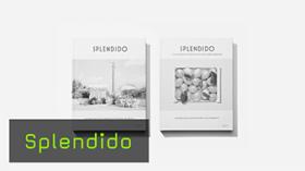 Splendido: Making-Of eines besonderen Kochbuchs 