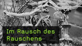 Die Bildwirkung durch Rauschen verändern Die Bildwirkung durch Rauschen verändern