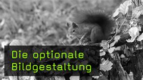 Bildausschnitte in der Tierfotografie