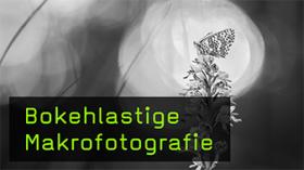 Bokehlastige Makrofotografie