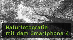 Motive für Smartphone-Fotografie in der Natur finden