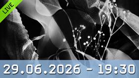 Experimentelle Dunkelkammerarbeit: Fotogramme