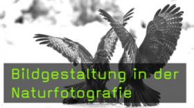 Naturfotografie Gerhard Zimmert Bildgestaltung