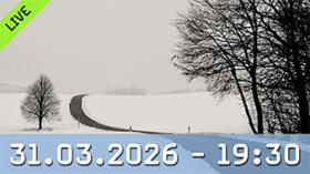 Lena Weisbek über atmosphärischen Minimalismus