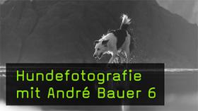 Outdoor Bildideen für die Hundefotografie