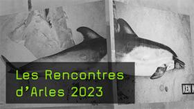 Eindrücke vom Fotofestival Arles 2023